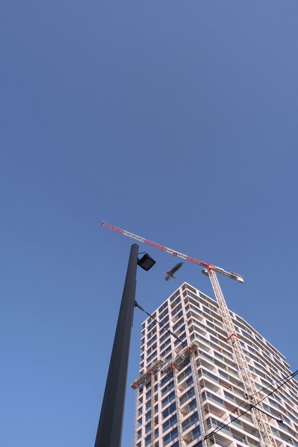Development