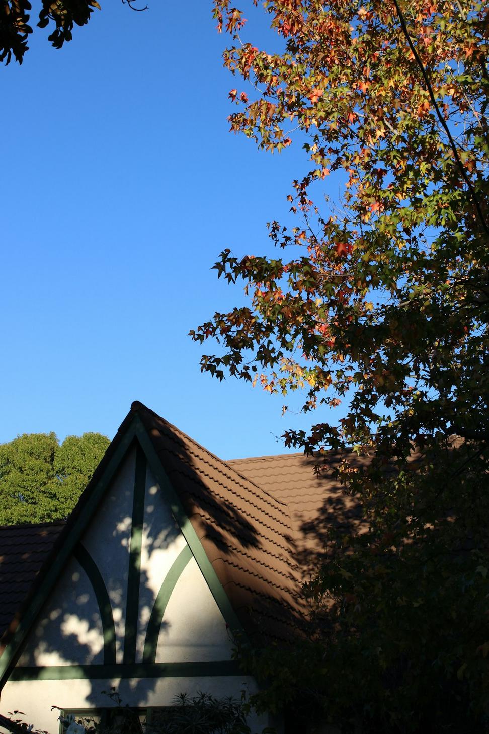 Evergreen Community Hub