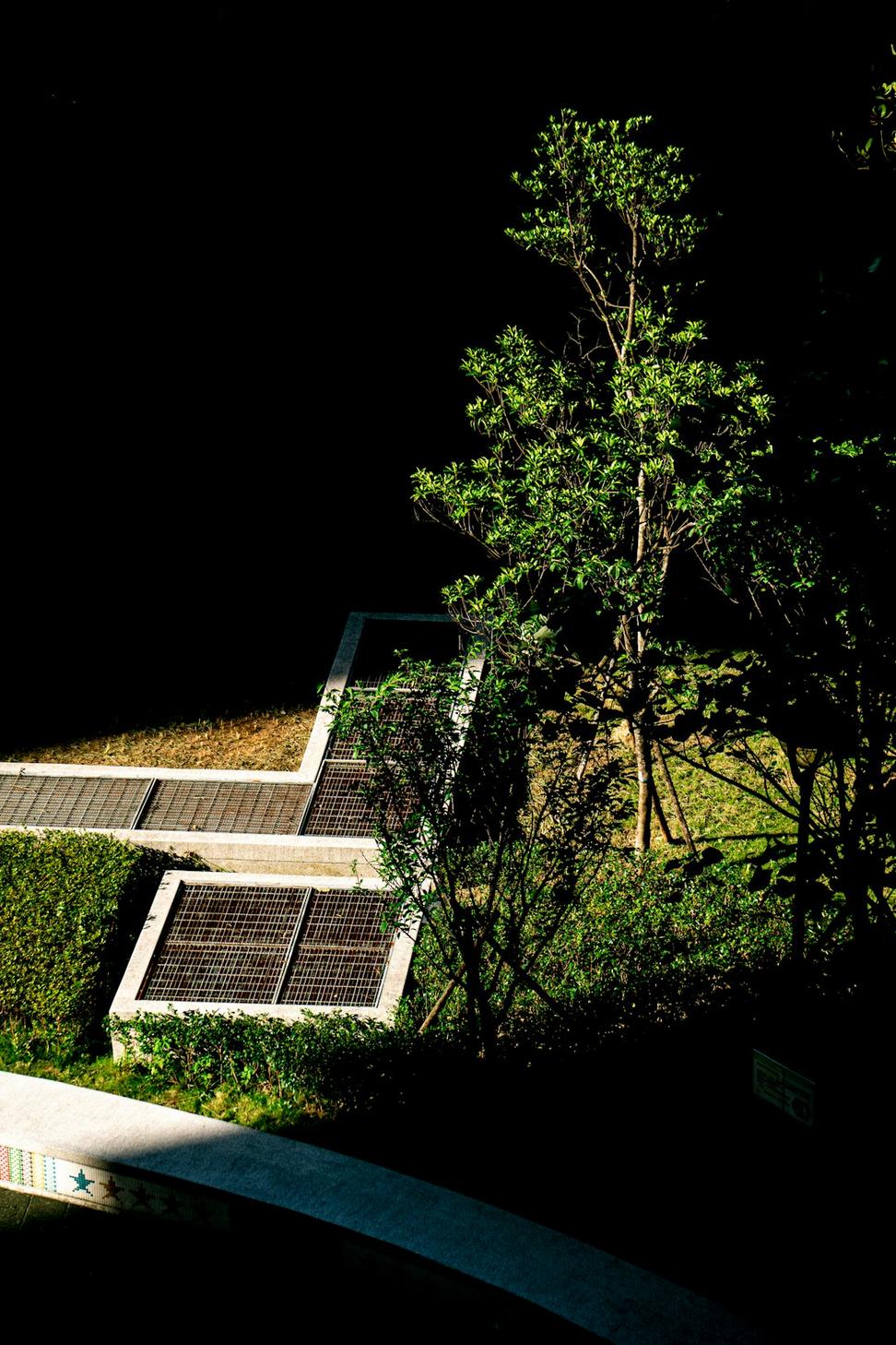 Solar Panels Installation